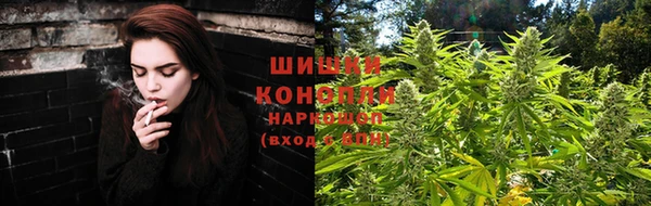 apvp Аркадак