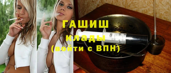 спиды Горняк