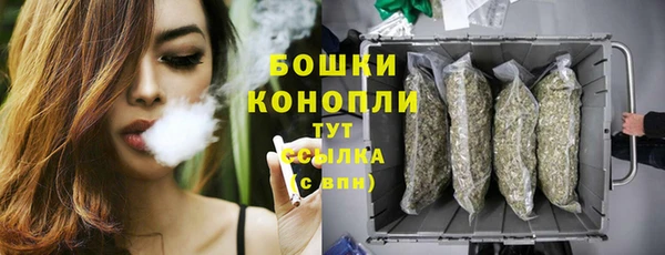 apvp Аркадак